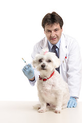 Image showing Vet and pet dog