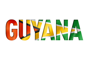 Image showing guyanese flag text font