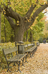 Image showing AUTUMN