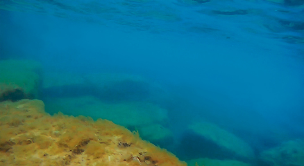 Image showing Underwater rock covered with algae.