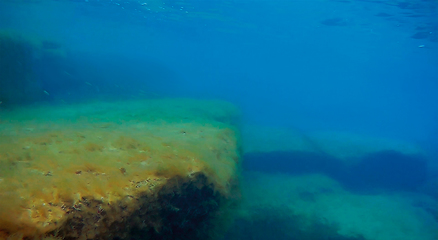 Image showing Underwater rock covered with algae.