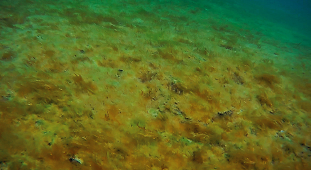 Image showing Underwater walk into the sea.