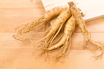 Image showing Korean Fresh ginseng