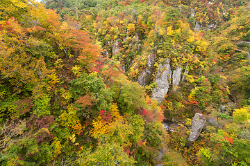 Image showing Naruko canyon in Japan