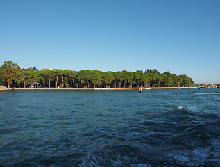 Image showing Giardini in Venice