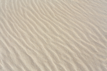 Image showing Sandy beach background with lines