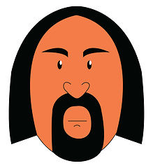 Image showing A man with long hair and a stylish beard vector or color illustr