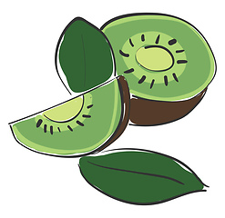 Image showing Healthy kiwi vector or color illustration