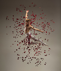 Image showing Young and graceful ballet dancer on studio background with rose petals. Art, motion, action, flexibility, inspiration concept.