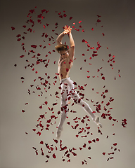 Image showing Young and graceful ballet dancer on studio background with rose petals. Art, motion, action, flexibility, inspiration concept.