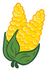 Image showing Yellow corn on green branch with green leafs vector illustration