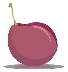 Image showing A pink plum vector or color illustration