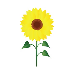 Image showing Vector illustration of sunflower with green leafs on white backg