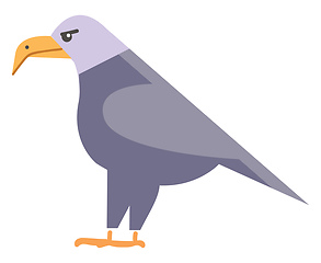 Image showing Clipart of a large colorful bird with sharp curved beak that it 