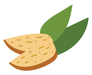 Image showing A brown cartoon nut with two green leaves vector or color illust