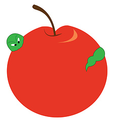 Image showing Red apple vector or color illustration