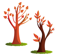 Image showing Two autumn tree vector illustration on white background