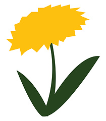Image showing Blooming yellow flower with green leaves vector or color illustr