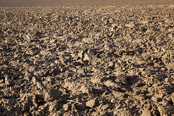 Image showing the soil in the field