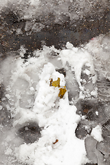 Image showing asphalt road melting snow leaves