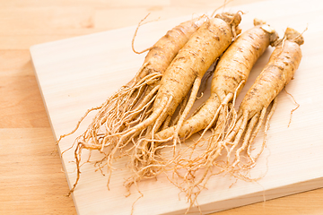 Image showing Fresh ginseng over wooden background