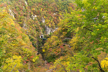 Image showing Naruko Gorge with colorful autumn foliage