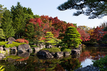 Image showing Japanese garden with red maple foliage 