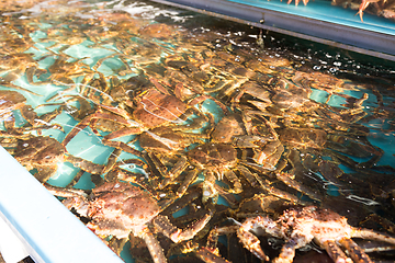 Image showing Japanese King crab