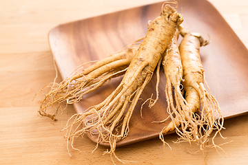 Image showing Fresh Ginseng on wooden plate