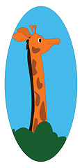 Image showing Cartoon giraffe vector illustration on white background 