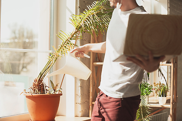 Image showing Young man studying at home during online courses for gardener, biologist, florist