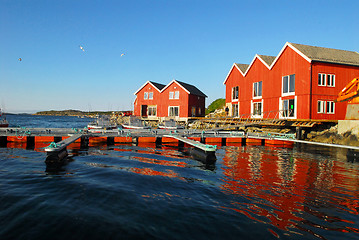 Image showing Norway seashore