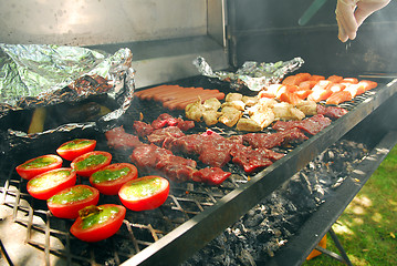 Image showing Grilling