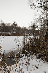 Image showing Trees around lake