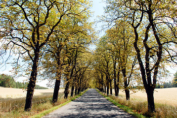 Image showing Summer way in Middle-Bohemian