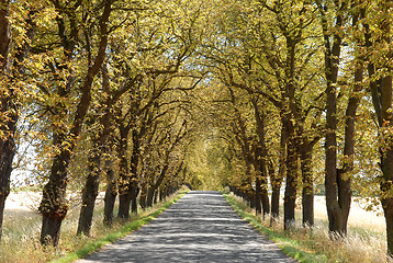 Image showing Summer way in Middle-Bohemian