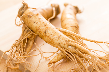 Image showing Ginseng