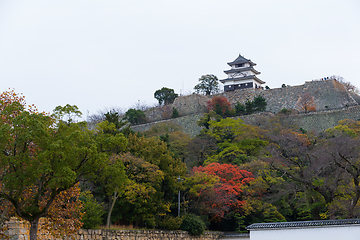 Image showing Marugame Castle in Japan at autumn