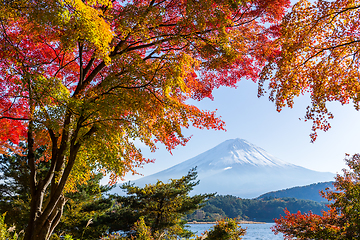 Image showing Fuji Autumn