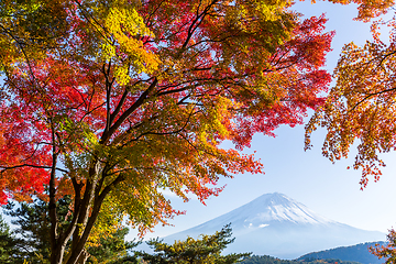 Image showing Mt. Fuji and autumn foliage at Lake Kawaguchi