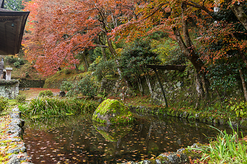 Image showing Beautiful landscape in japanese temple