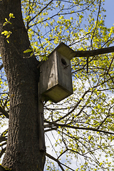 Image showing Birdhouse on the trunk