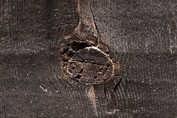 Image showing Old wall of boards black old tree trunk