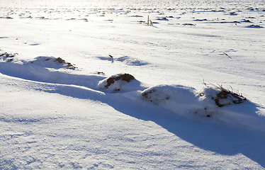 Image showing Snow drifts in winter field