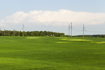 Image showing collective farm field