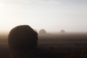 Image showing Big haystack