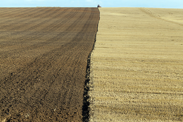 Image showing half plow field