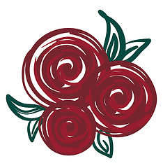 Image showing Red rose painting vector or color illustration
