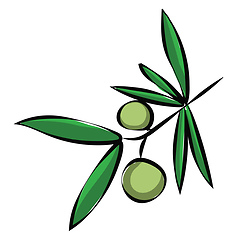 Image showing Branch of an olive tree with two olives on it/Olive branch with 