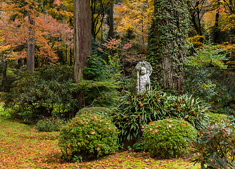 Image showing Autumn Japanese garden 